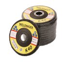 10 Stück Fächerscheibe 125 x 22,23  K40...
