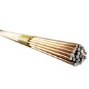 B-Ware 1 kg WSGII WIG-Schweißdraht 2,4 mm für...